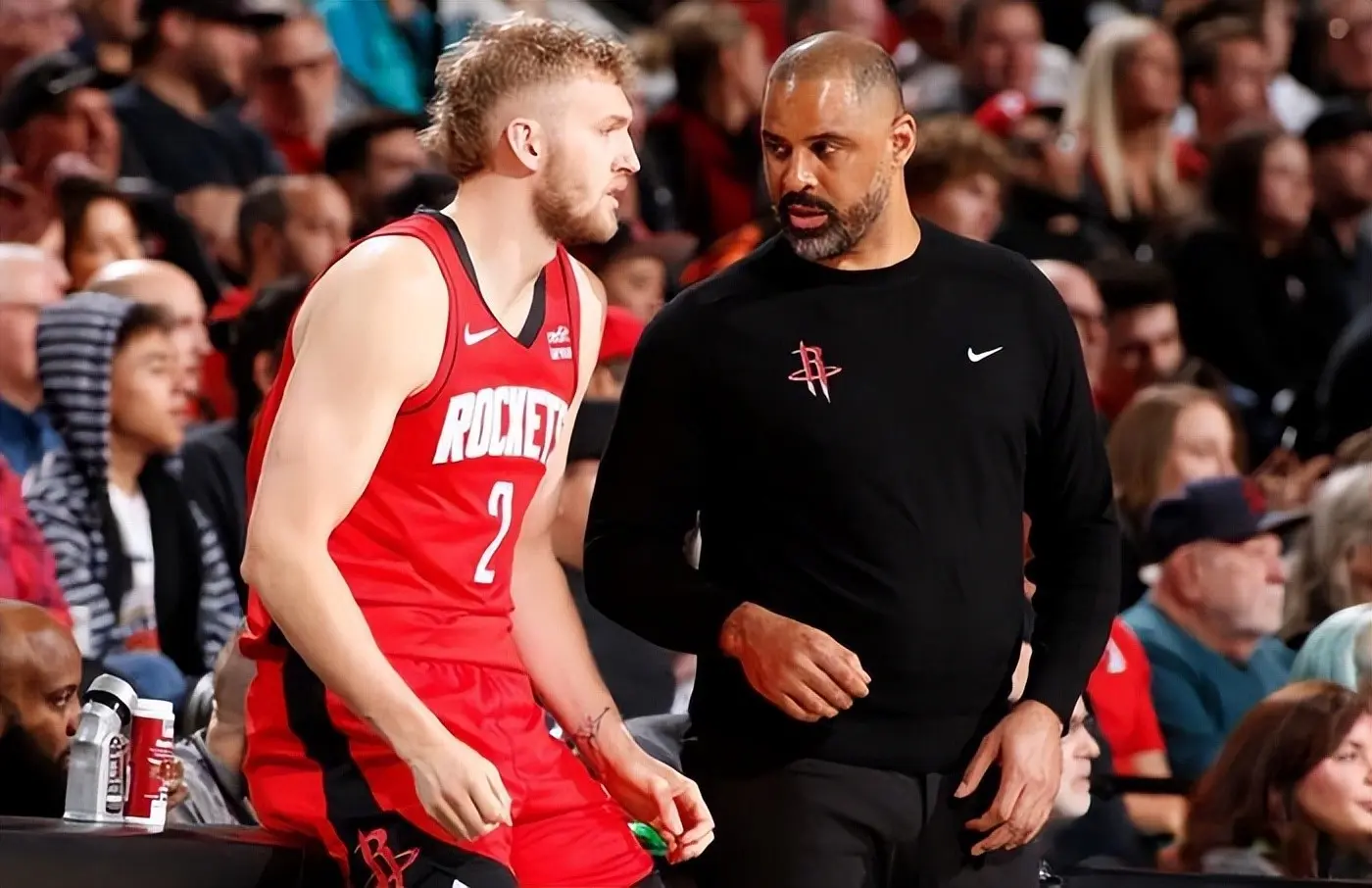 球员基本上, 主力中锋扎, 场上的香饽 球员基本上, 主力中锋扎, 场上的香饽